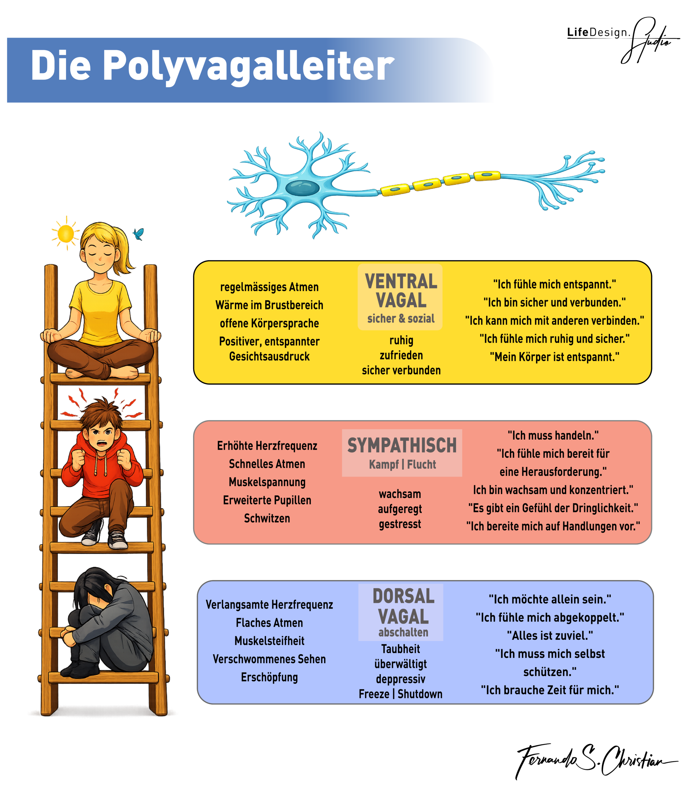 Polyvagal-Leiter